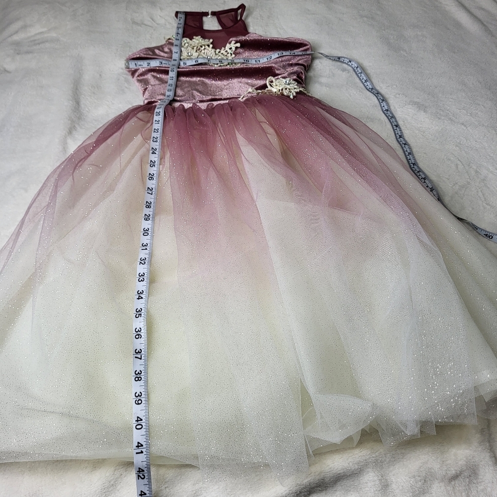 Weissman Adult Dance Costume. Size Large. LA - Picture 14 of 16